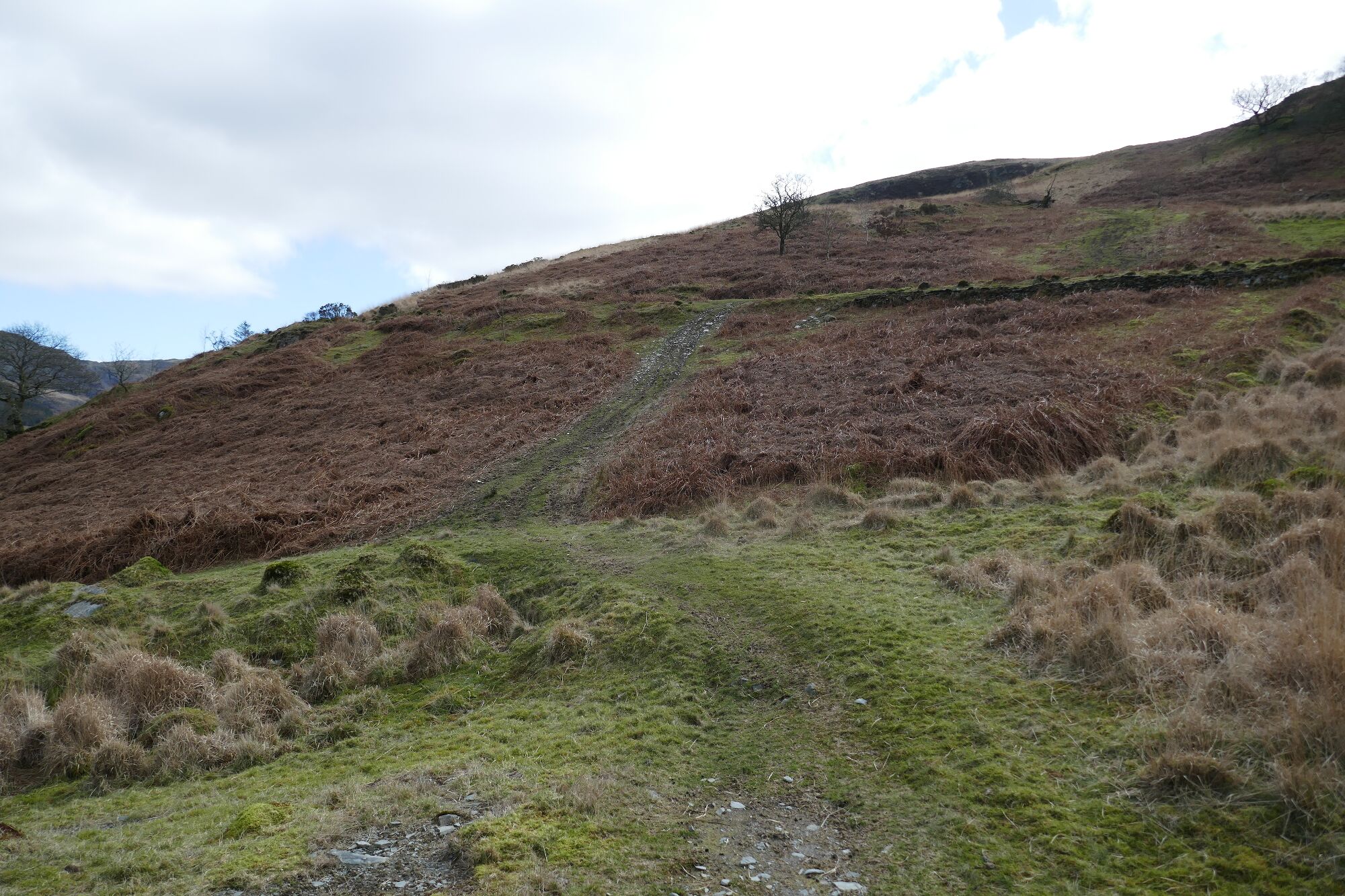 RachelSeabrook.net | Wild Walking | Cwm Cyneiniog and Craig y Pistyll | pic03